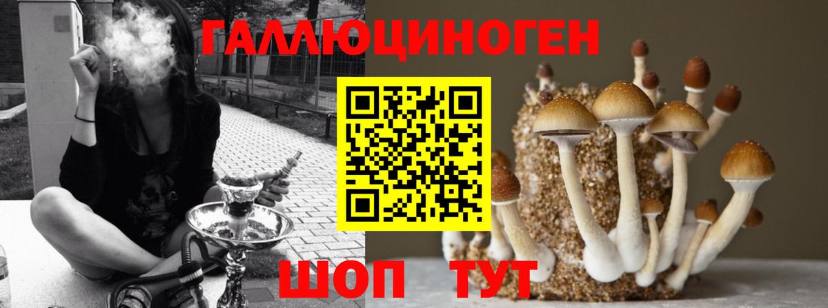 Галлюциногенные грибы ЛСД Коркино
