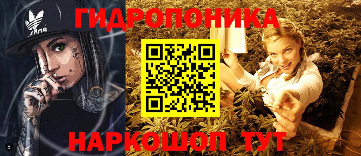 Канабис индика Коркино